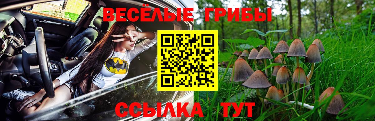 Кушва  Галлюциногенные грибы Psilocybe  Вход с VPN 